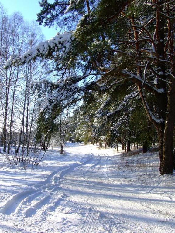 Дома для отпуска Svečių namelis Друскининкай